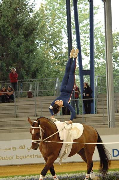109-WEG-Vaulting-8-24-06-DeRosaPhoto