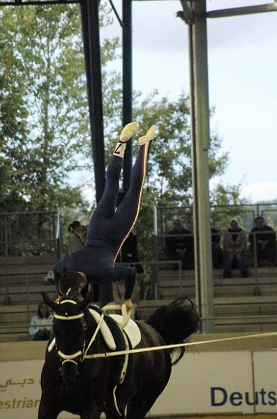 287-WEG-Vaulting-8-24-06-DeRosaPhoto