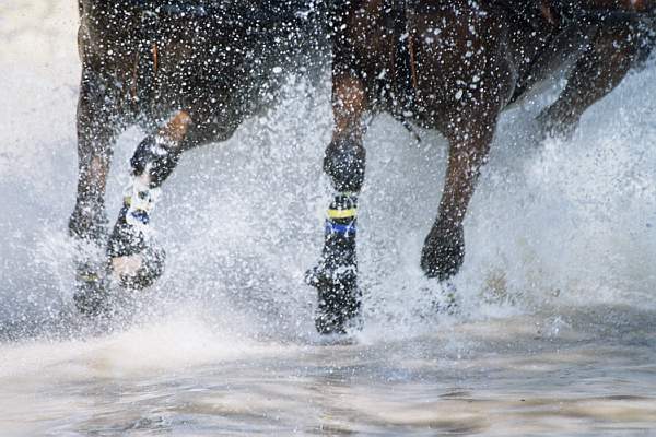 DrivingLegs.jpg-DeRosaPhoto