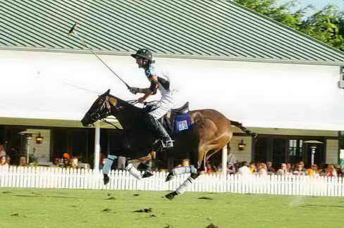 IPC-Polo-1-8-17-6625-DDeRosaPhoto-copy