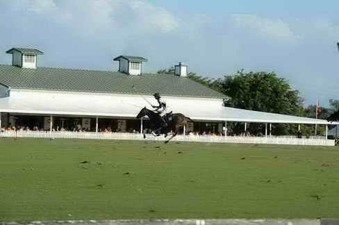 IPC-Polo-1-8-17-6625-DDeRosaPhoto