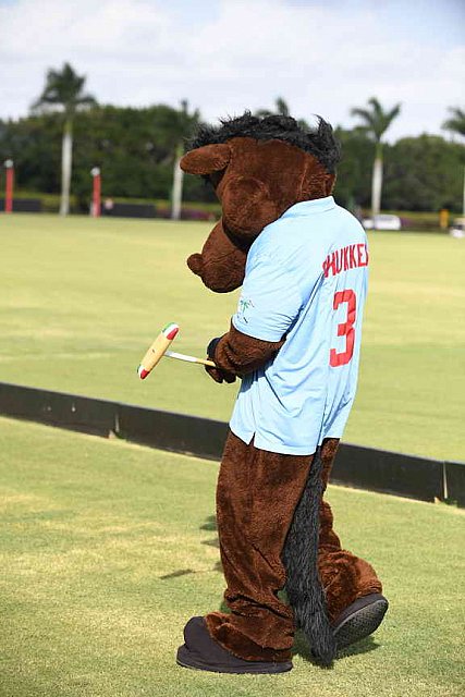 IPC-Polo-1-1-17-1106-DDeRosaPhoto