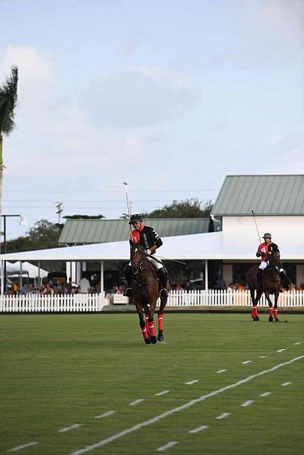 IPC-Polo-1-1-17-1191-DDeRosaPhoto
