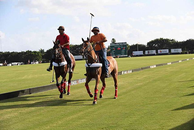 IPC-Polo-1-1-17-1227-DDeRosaPhoto