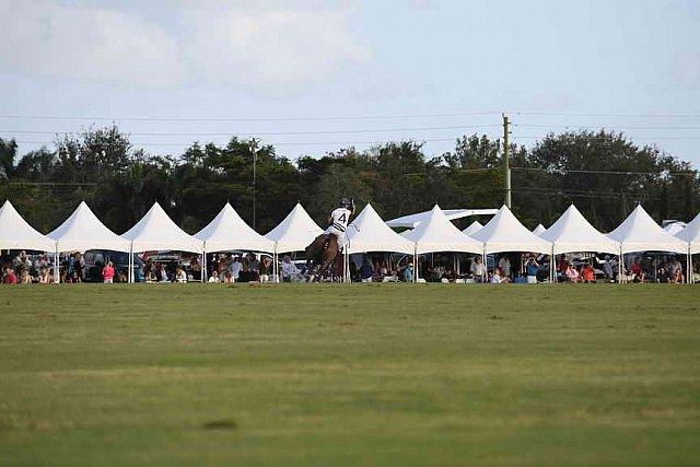 IPC-Polo-1-1-17-1313-DDeRosaPhoto
