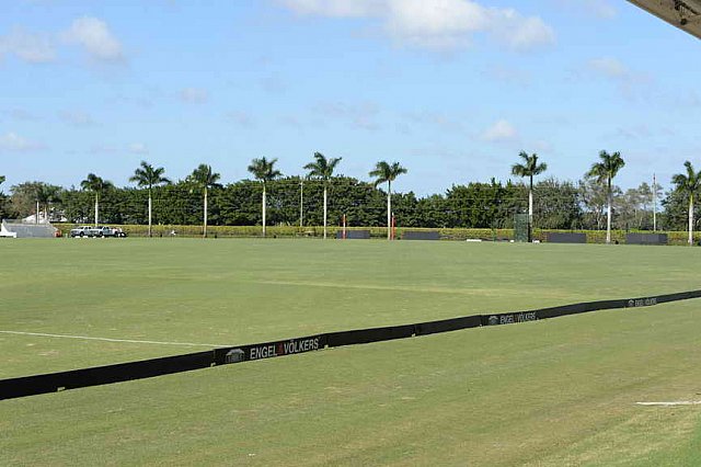 IPC-Polo-1-8-17-6297-DDeRosaPhoto