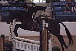079-AlmostMajic-TammyProvost-Pro3'Finals-LegacyCup-5-11-07-DeRosaPhoto.jpg