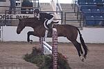 118-Pilgrim-NicoleSimpson-LegacyCup-Pro3-5-10-07-DeRosaPhoto.jpg