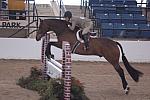 351-Instrumental-HollyStanley-LegacyCup-3'6Pro-5-10-07-DeRosaPhoto.jpg