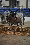 1330-Pompidoe-AnnieFrazier-LegacyCup-NonPro3'-5-15-08-DeRosaPhoto.jpg