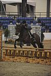1420-TommyBahama-LaurieStevens-LegacyCup-NonPro3'-5-15-08-DeRosaPhoto.jpg
