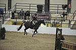 2271-Bert-AbigailMcArdle-LegacyCup-NonPro3'6Finals-5-17-08-DeRosaPhoto