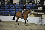 2462-LegacyCup-NonPro3'6Awards-5-17-08-DeRosaPhoto