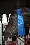 2269-Capetown-AndeFarish-LegacyCup-NonPro3'6GoRoundAwards-5-17-08-DeRosaPhoto