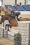 1985-Lavari-TracyScheriff-LegacyCup-NonPro3'6GoRound-5-17-08-DeRosaPhoto