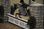 2106-BritannasLittlePrince-LucasPorter-LegacyCup-PonyFinals-5-17-08-DeRosaPhoto.jpg