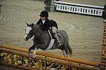 2116-DawnsEarlyLight-MarthaIngram-LegacyCup-PonyFinals-5-17-08-DeRosaPhoto.jpg
