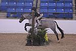 805-ChamplainClementine-ChloeJohnson-LegacyCup-PonyHunterGoRound-5-10-08-DeRosaPhoto.jpg