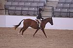 846-AllAboutMe-MeredithDarst-LegacyCup-PonyHunterGoRound-5-10-08-DeRosaPhoto.jpg