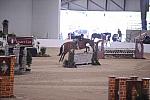 942-Gibson-DeniseDerisioPerry-LegacyCup-Pro3'6Finals-5-10-08-DeRosaPhoto.JPG