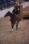 946-Gibson-DeniseDerisioPerry-LegacyCup-Pro3'6Finals-5-10-08-DeRosaPhoto.JPG
