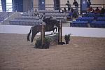 300-LismacbryanJunior-ShaneSweetnam-Pro3'6GoRound-LegacyCup-5-9-08-DeRosaPhoto.jpg