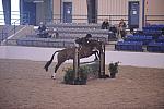 403-Milano-AbigailBlankenship-Pro3'6GoRound-LegacyCup-5-9-08-DeRosaPhoto.jpg