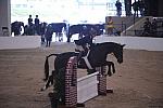 047-Nobu-EmilyWilliams-Pro3'GoRound-LegacyCup-5-8-08-DeRosaPhoto.jpg