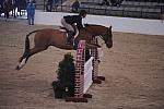 106-Once-JenniferDarst-Pro3'GoRound-LegacyCup-5-8-08-DeRosaPhoto.jpg