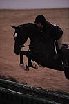 121-Bijou-HavensSchatt-Pro3'GoRound-LegacyCup-5-8-08-DeRosaPhoto.jpg