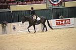 10-3-08-CC08-330-DeRosaPhoto.jpg