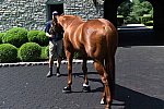 AHP-TOUR-5-12-22-8601-DDeRosaPhoto