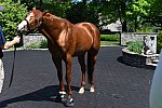 AHP-TOUR-5-12-22-8607-DDeRosaPhoto
