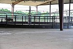 05.15.25-TOUR-WELCOME-9163-DDeRosaPhoto