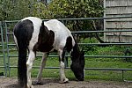 PowerTens-4-30-15-2456-DDeRosaPhoto