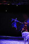 Cavalia-6-8-10-061-DDeRosaPhoto.jpg