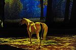 Cavalia-6-8-10-219-DDeRosaPhoto.jpg