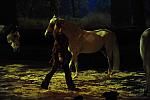 Cavalia-6-8-10-231-DDeRosaPhoto.jpg