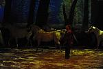 Cavalia-6-8-10-233-DDeRosaPhoto.jpg