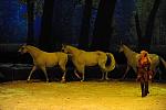 Cavalia-6-8-10-240-DDeRosaPhoto.jpg