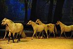 Cavalia-6-8-10-242-DDeRosaPhoto.jpg