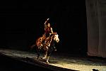 Cavalia-6-8-10-305-DDeRosaPhoto.jpg