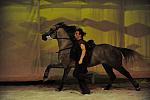 Cavalia-6-8-10-322-DDeRosaPhoto.jpg
