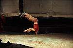 Cavalia-6-8-10-336-DDeRosaPhoto.jpg