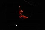 Cavalia-6-8-10-355-DDeRosaPhoto.jpg