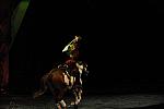 Cavalia-6-8-10-386-DDeRosaPhoto.jpg