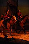 Cavalia-6-8-10-435-DDeRosaPhoto.jpg