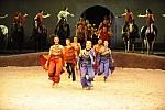 Cavalia-6-8-10-451-DDeRosaPhoto.jpg