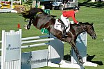 Spruce-9-11-15-6684-BeezieMadden-CortesC-USA-DDeRosaPhoto-Cavalor