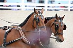 Devon-Coaching-5-29-14-6705-DDeRosaPhoto